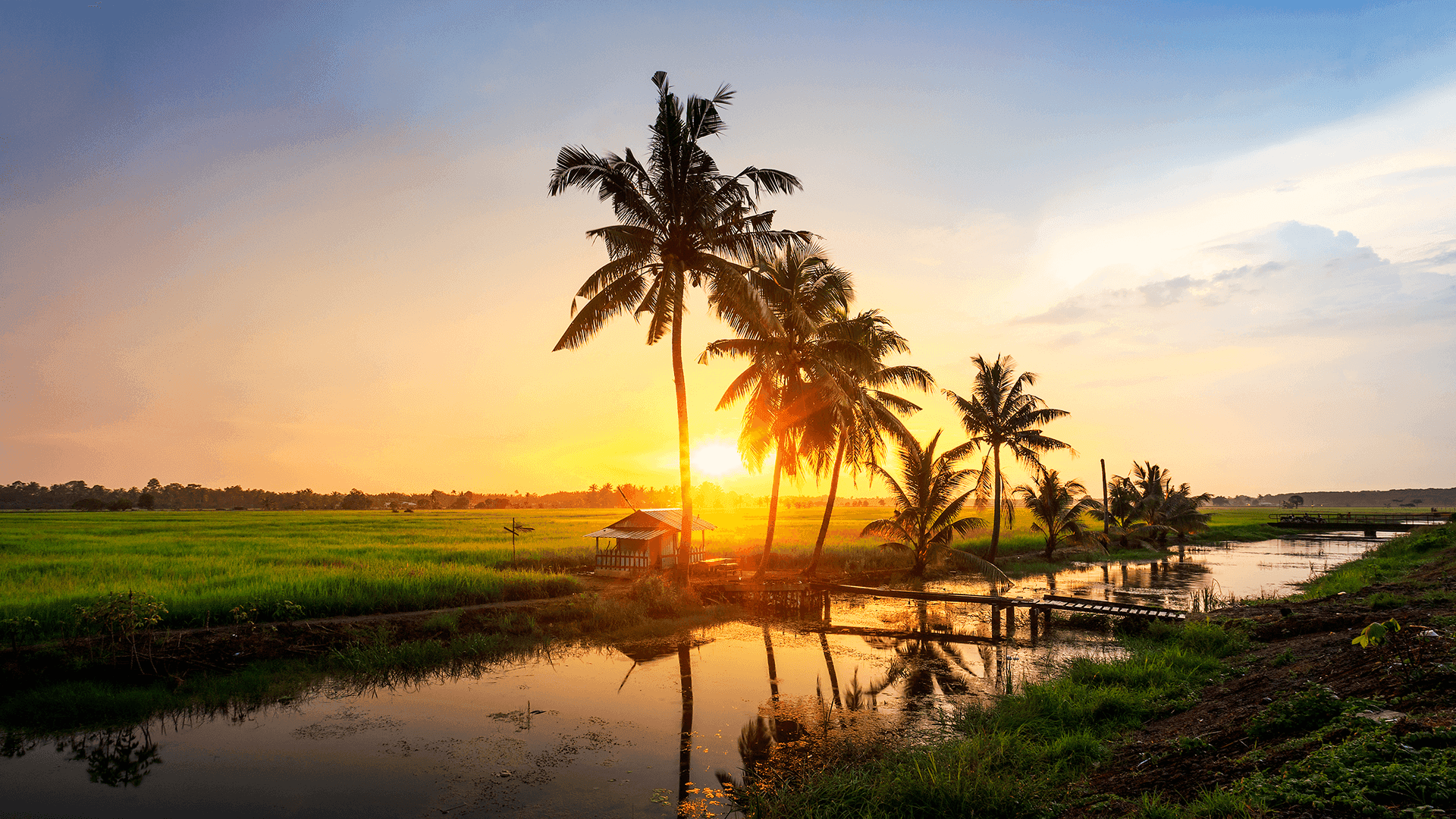 Kampung Spirit A Journey Through Malaysia S Traditional Village Life