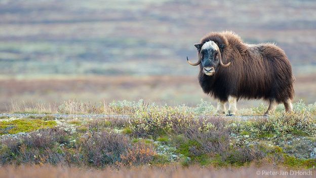 Bbc Earth Share Your Photos Of Amazing Norway