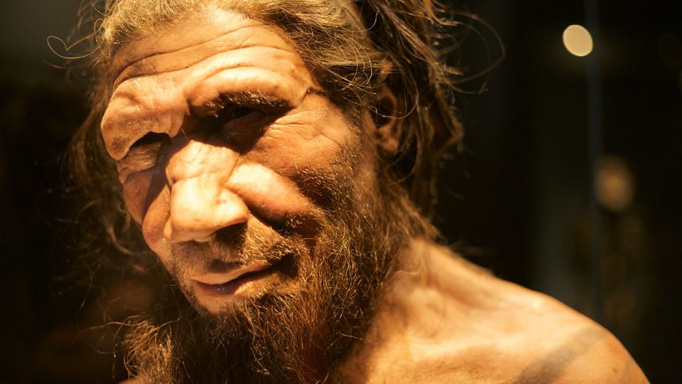 The Last Neanderthal BBC Reel