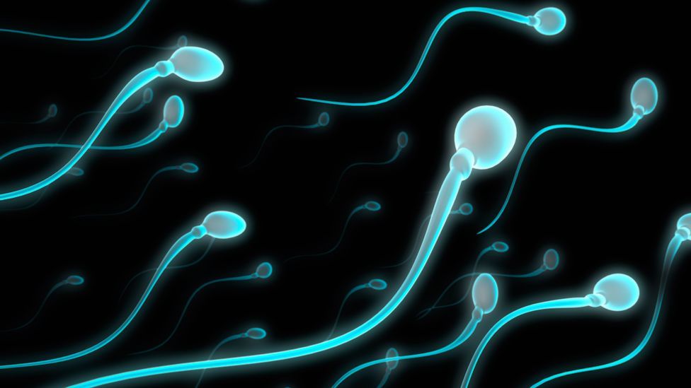 Проглатывание спермы 