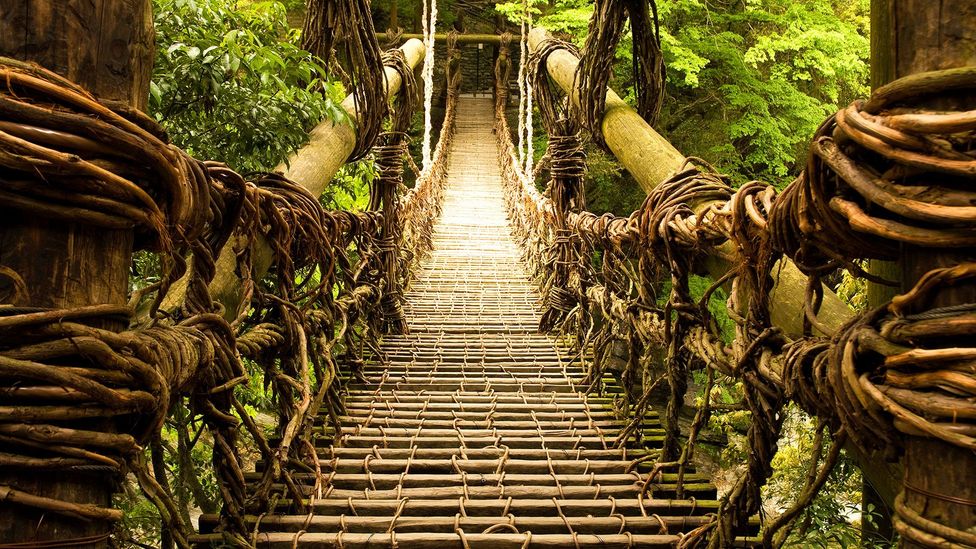 Could You Cross This Ancient Bridge Of Vines BBC Travel