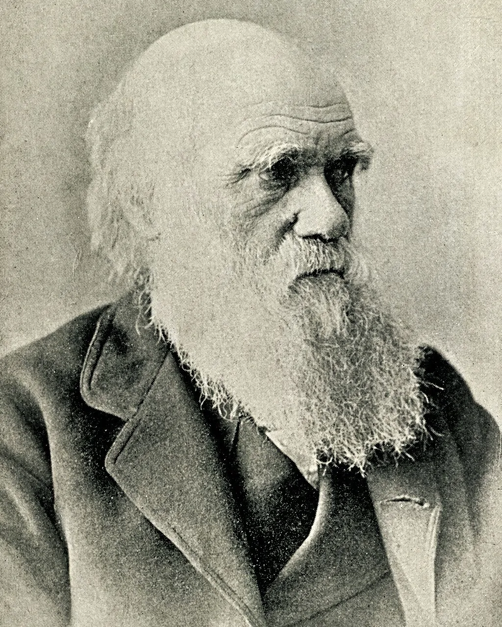 Charles Darwin’in erken yaşama ilişkin önsezisi muhtemelen doğruydu 2