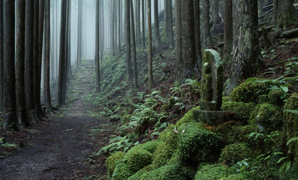 Kumano kodo, Shingu City Kumano kodo, Shingu City