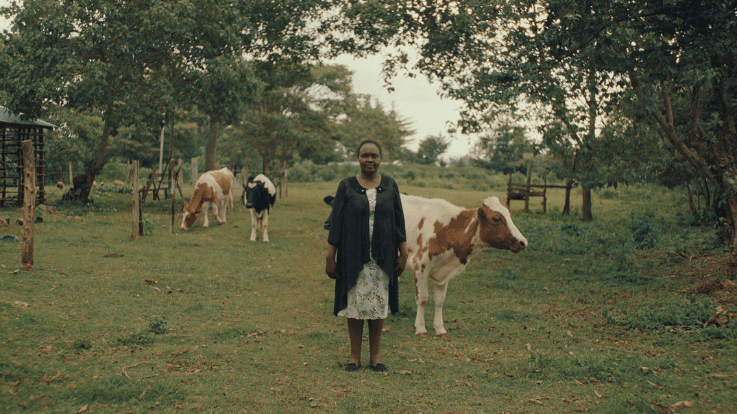 A woman is standing in front of the camera, and has some cows behind her