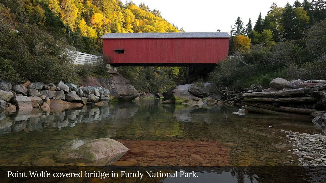 Exploring the Phenomenal Bay of Fundy