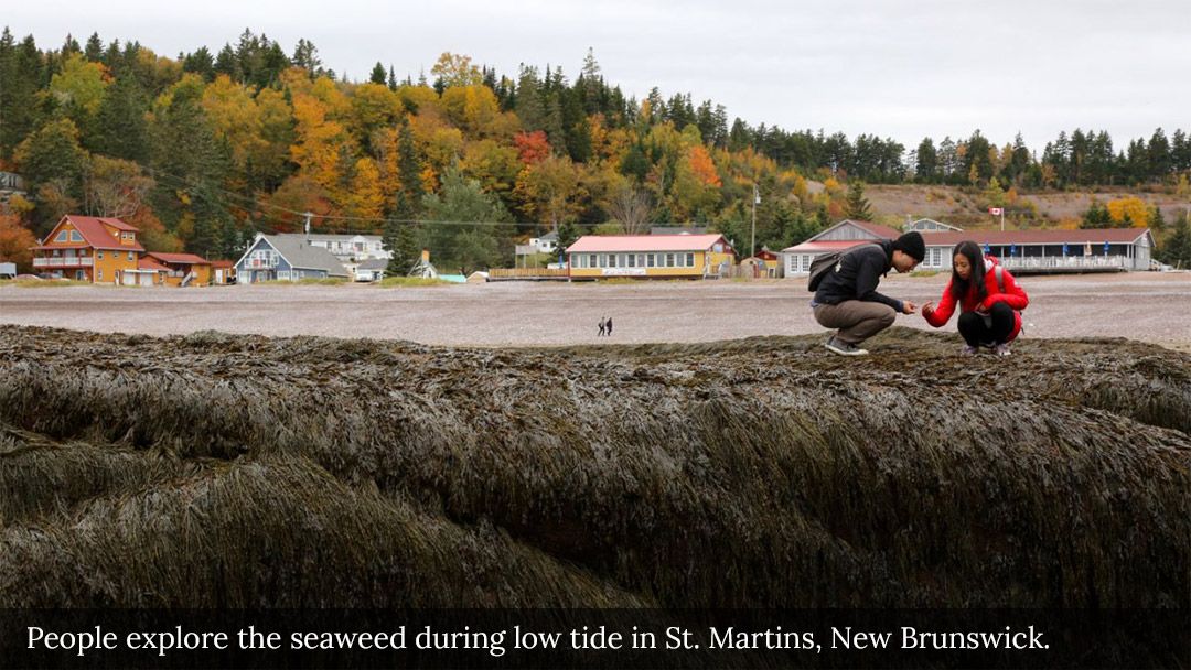 Exploring the Phenomenal Bay of Fundy