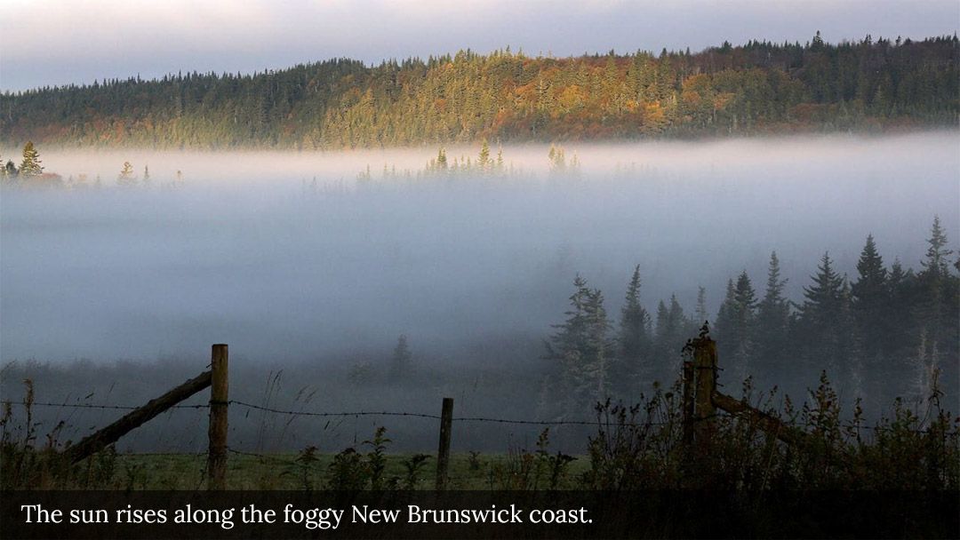 Exploring the Phenomenal Bay of Fundy