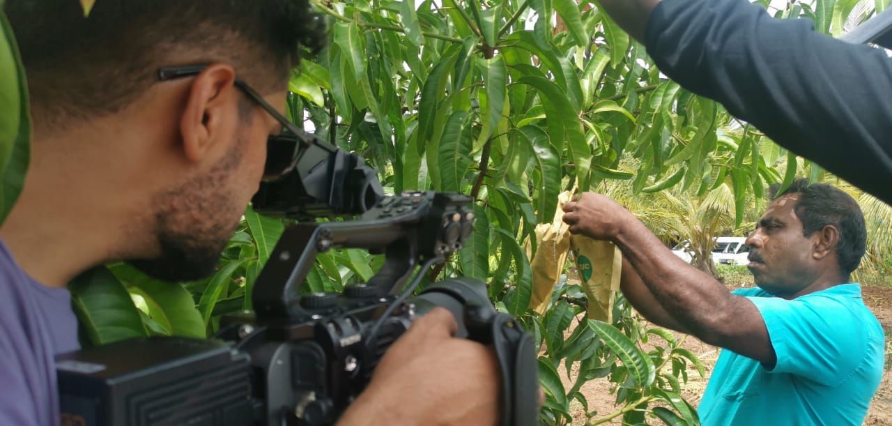 Film crew filming man farming