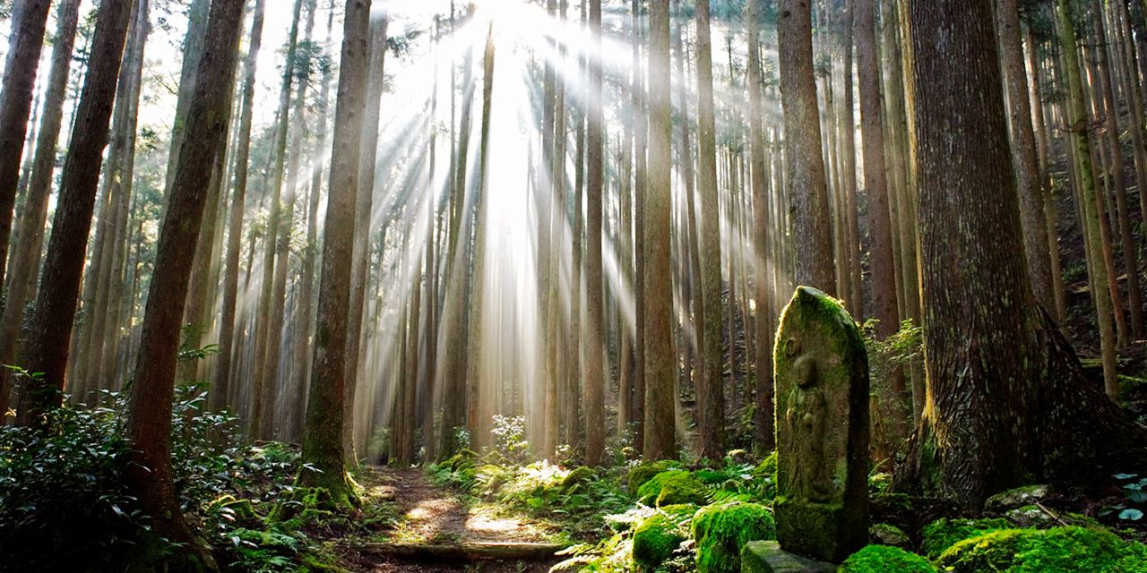 Outdoors in Japan’s spiritual heartland - Hero