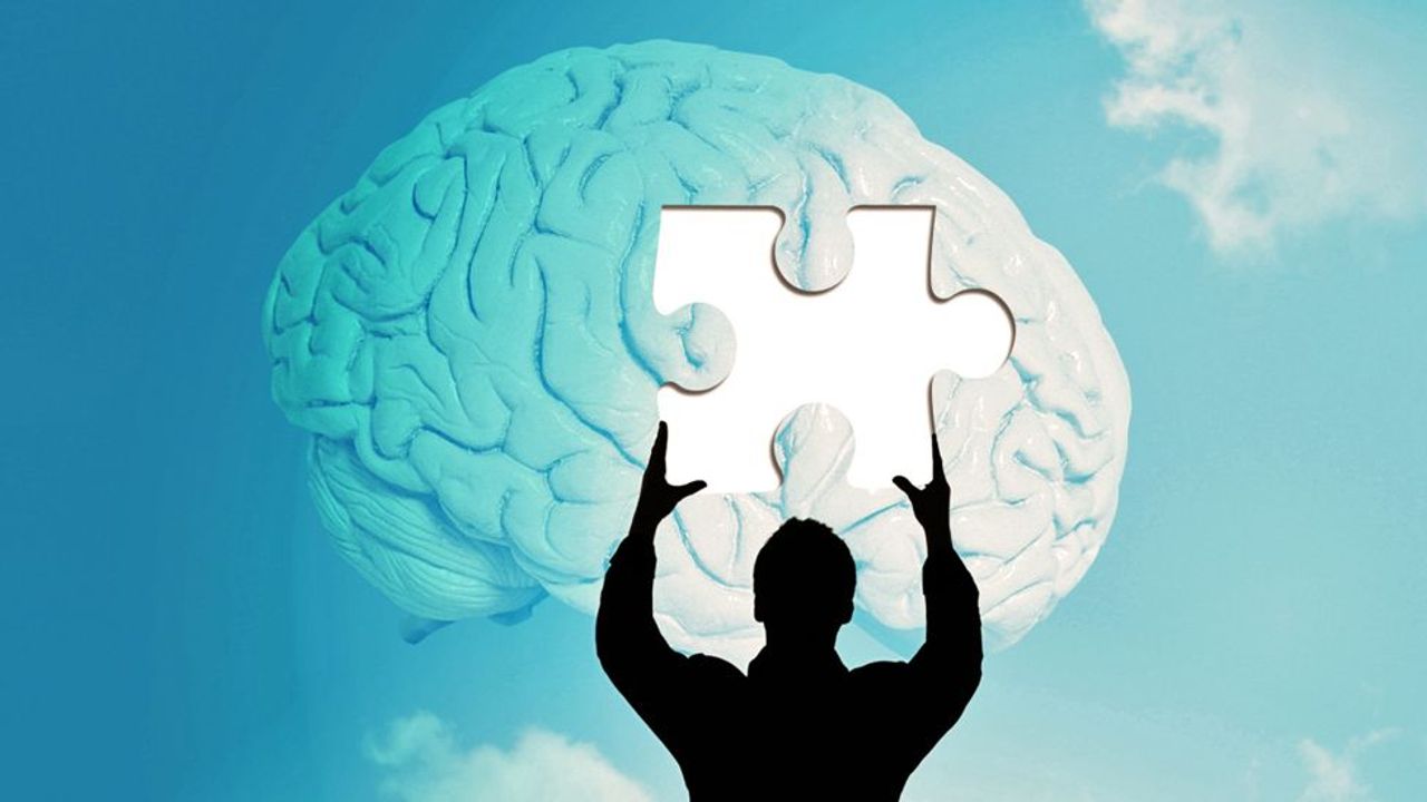 Top Ten Myths About the Brain, Science