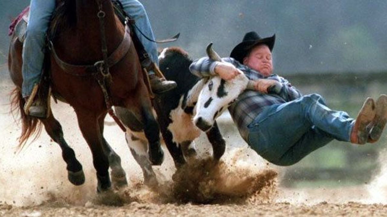 Are rodeos a form of culture or cruelty? - BBC Travel