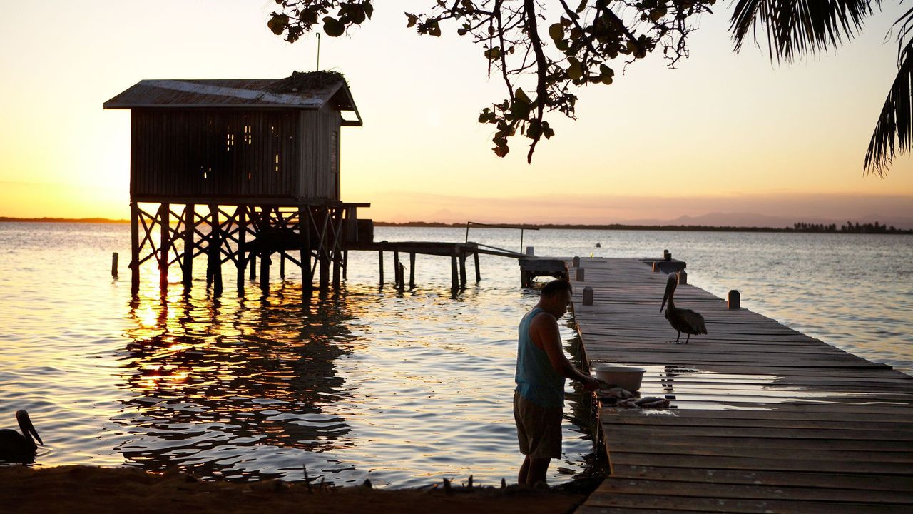 【中古】 Belize: Ecotourism in Action/MACMILLAN CARIBBEAN/Meb Cutlack p014hglc.jpg