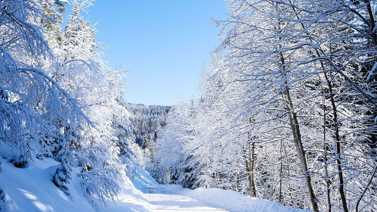 Snowbound Slovenia