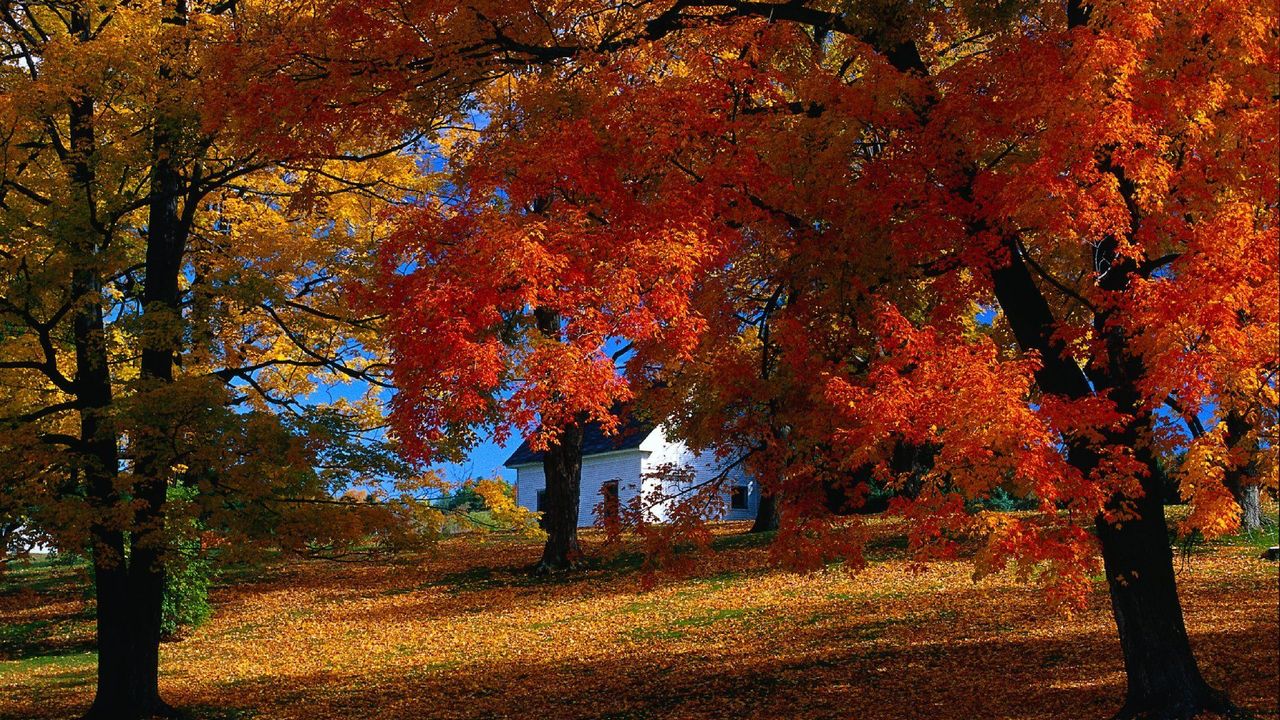 How to see New England in autumn