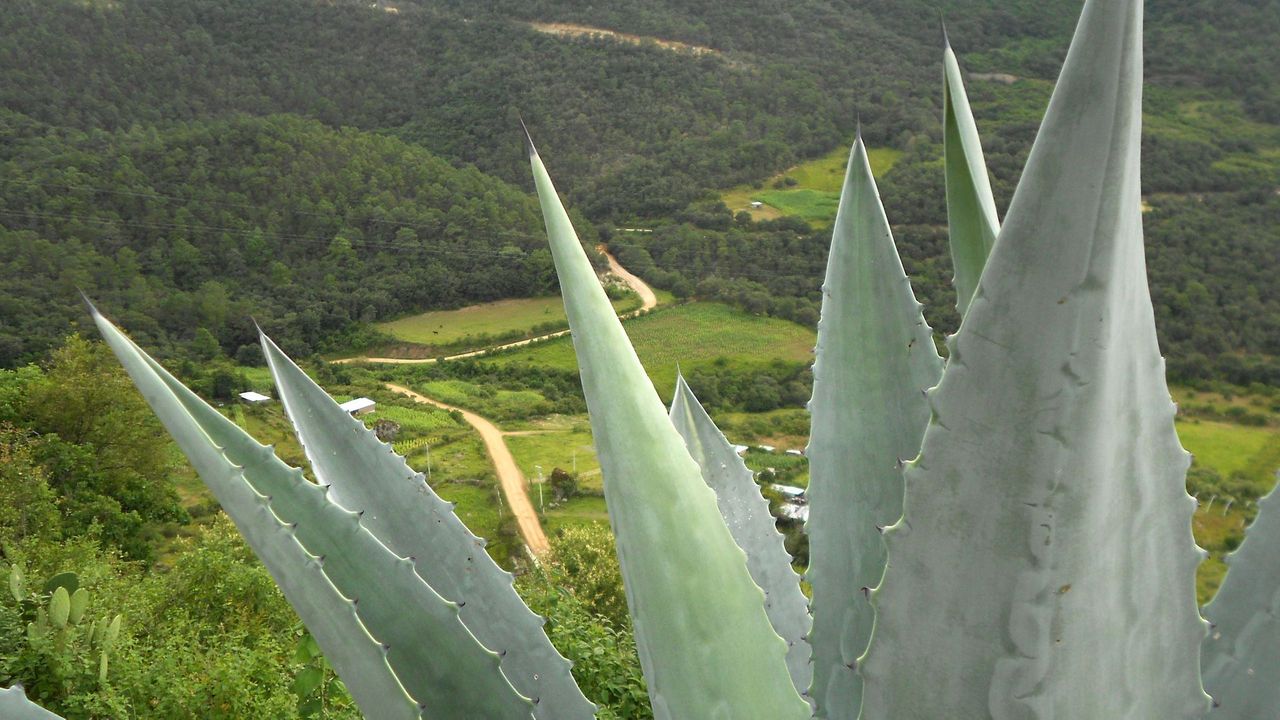 In Oaxaca, a community unchanged