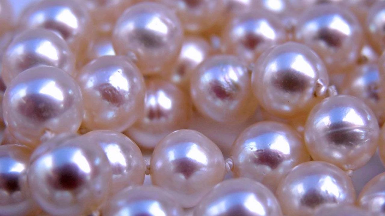 How an oyster builds a perfectly round pearl