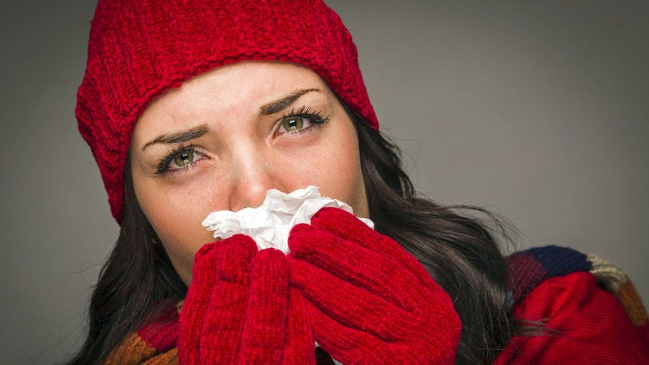Does echinacea prevent colds?