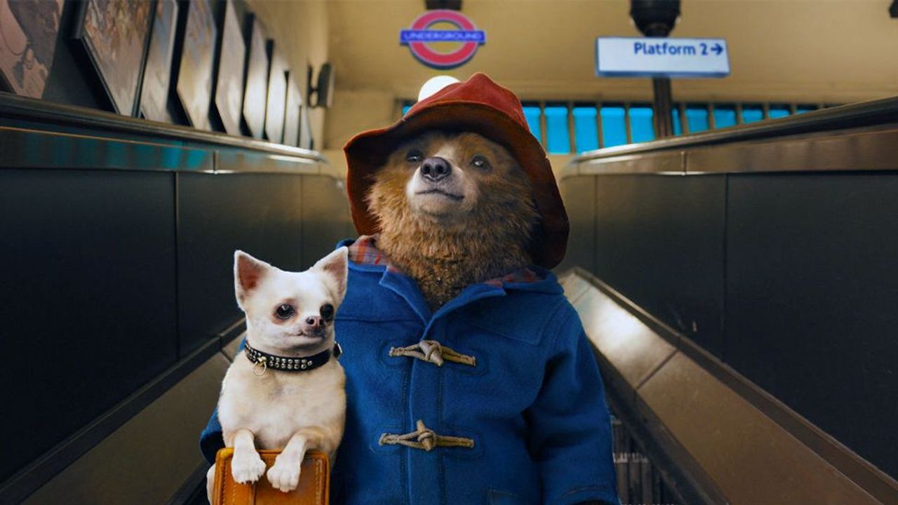 Paddington full best sale movie in english