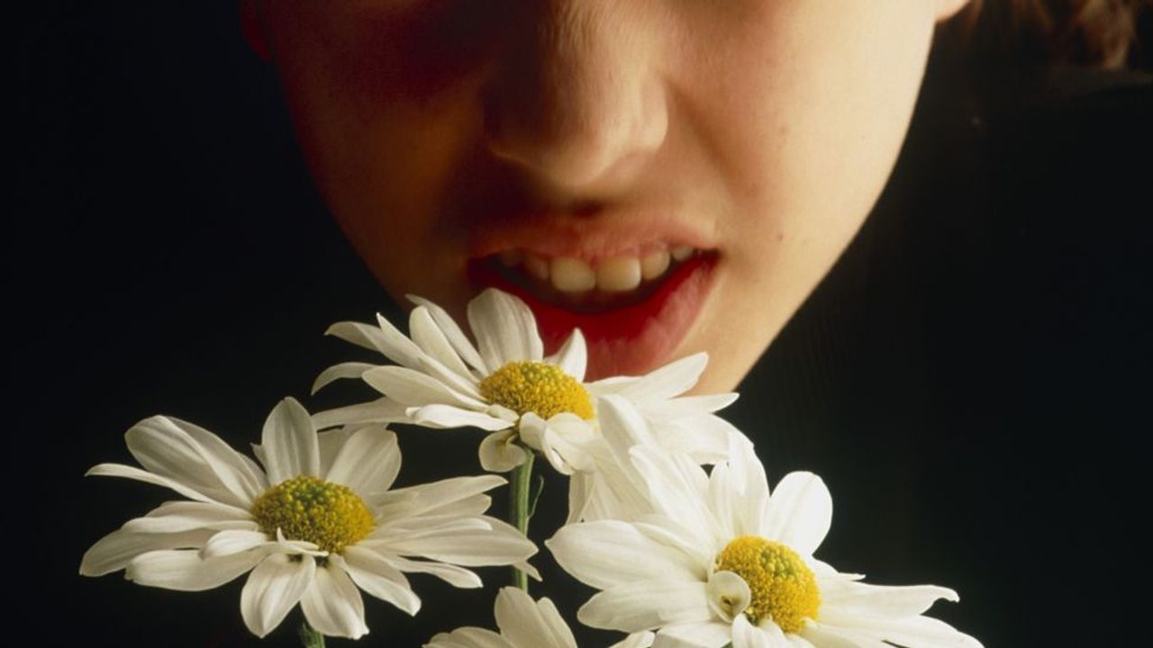 Why do we have allergies?