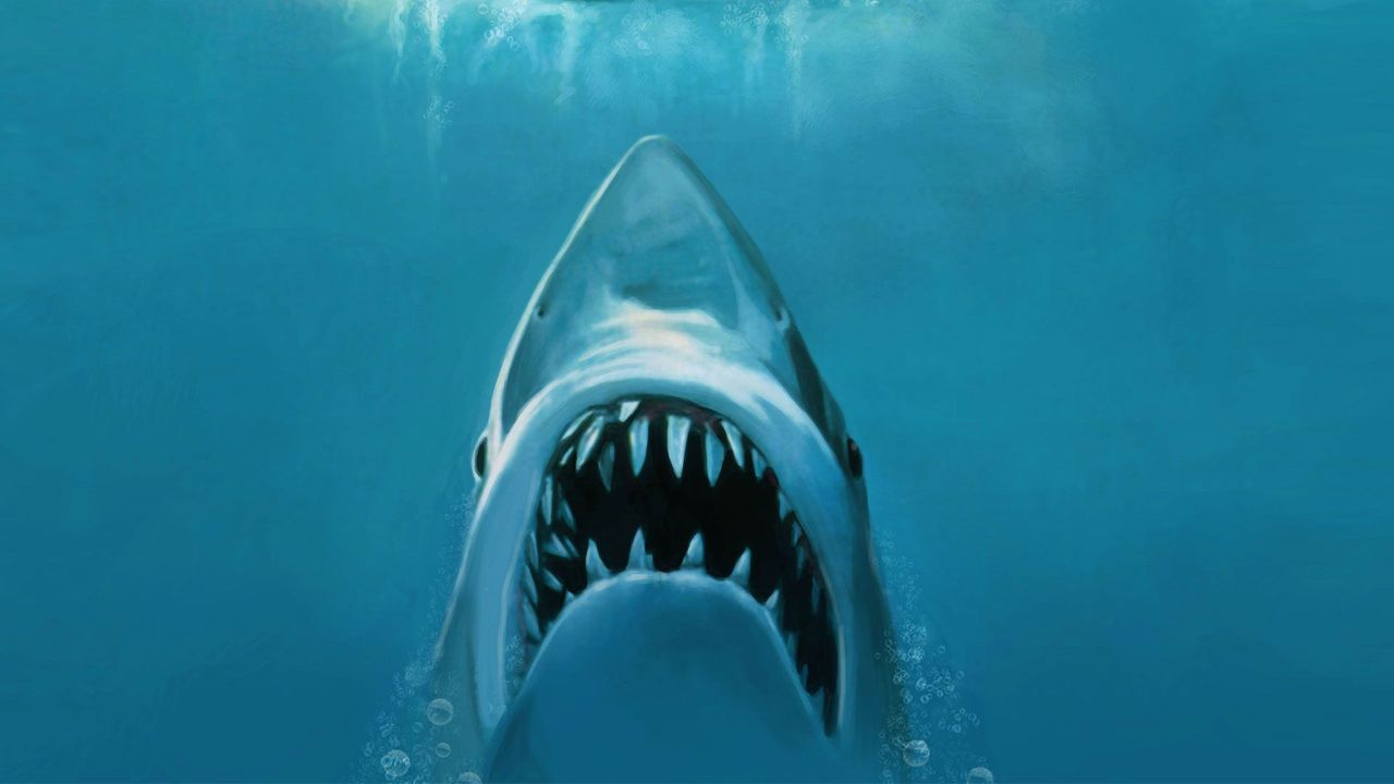 ‘Jaws is no horror movie – it’s actually a comedy’ - BBC Culture