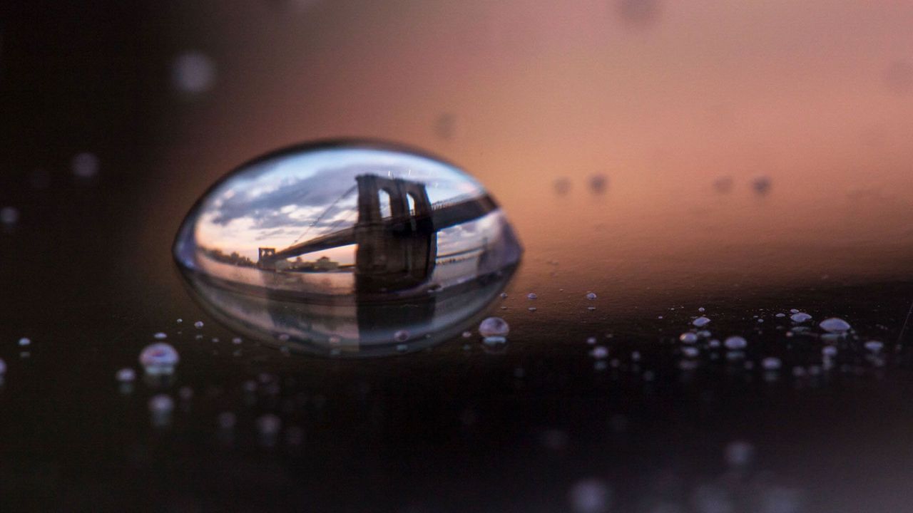 Photographer Captures Worlds in a Drop of Water