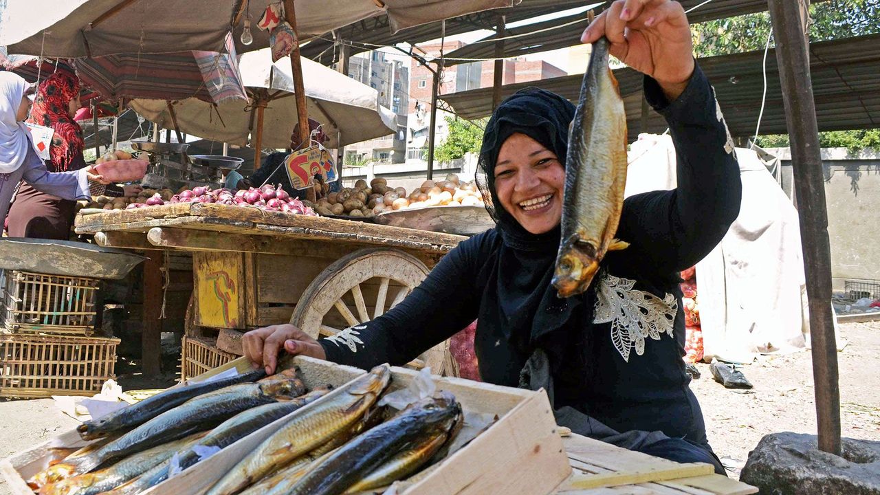 egyptian salted fish