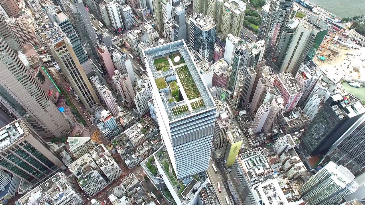 A flight over Hong Kong's secret farms