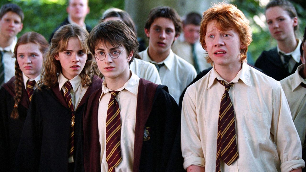 How Harry Potter became a rallying cry