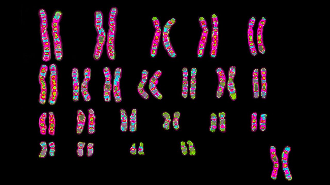 Why gene editing could create so many jobs - BBC Worklife