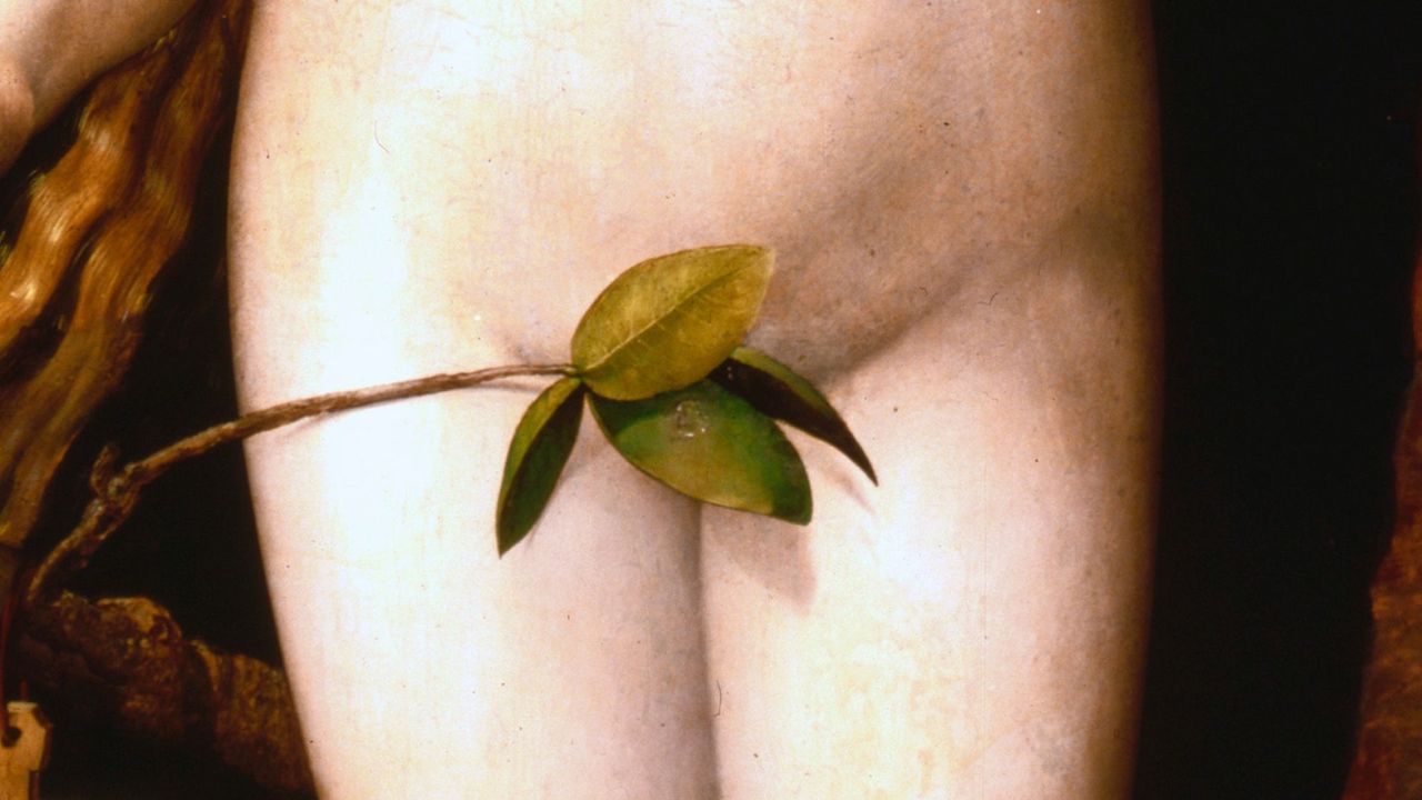 How vaginas are finally losing their stigma picture