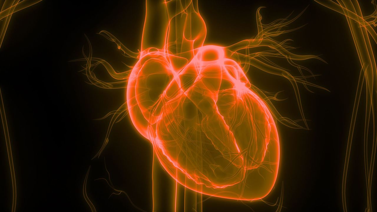 How hacking the human heart could replace pill popping - BBC Future