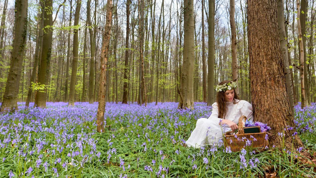 Adventurous Pioneer Girl Dress - Blue