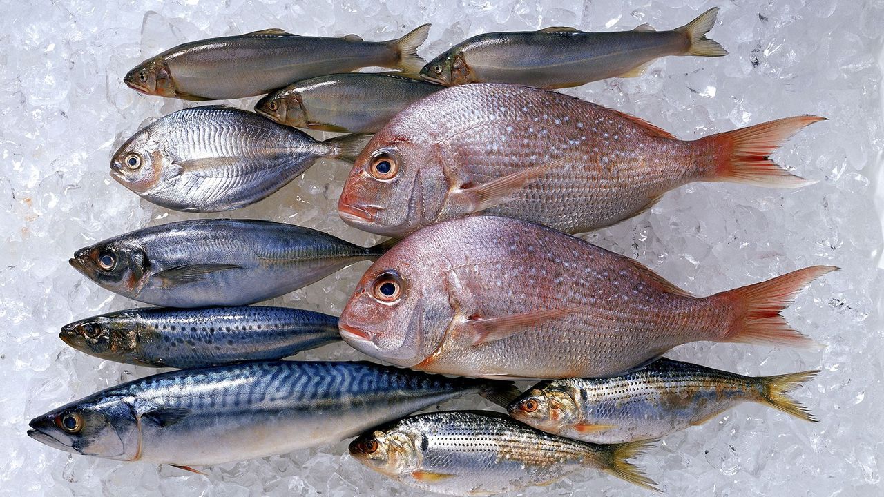 Is Eating Fish Healthy? - Bbc Future
