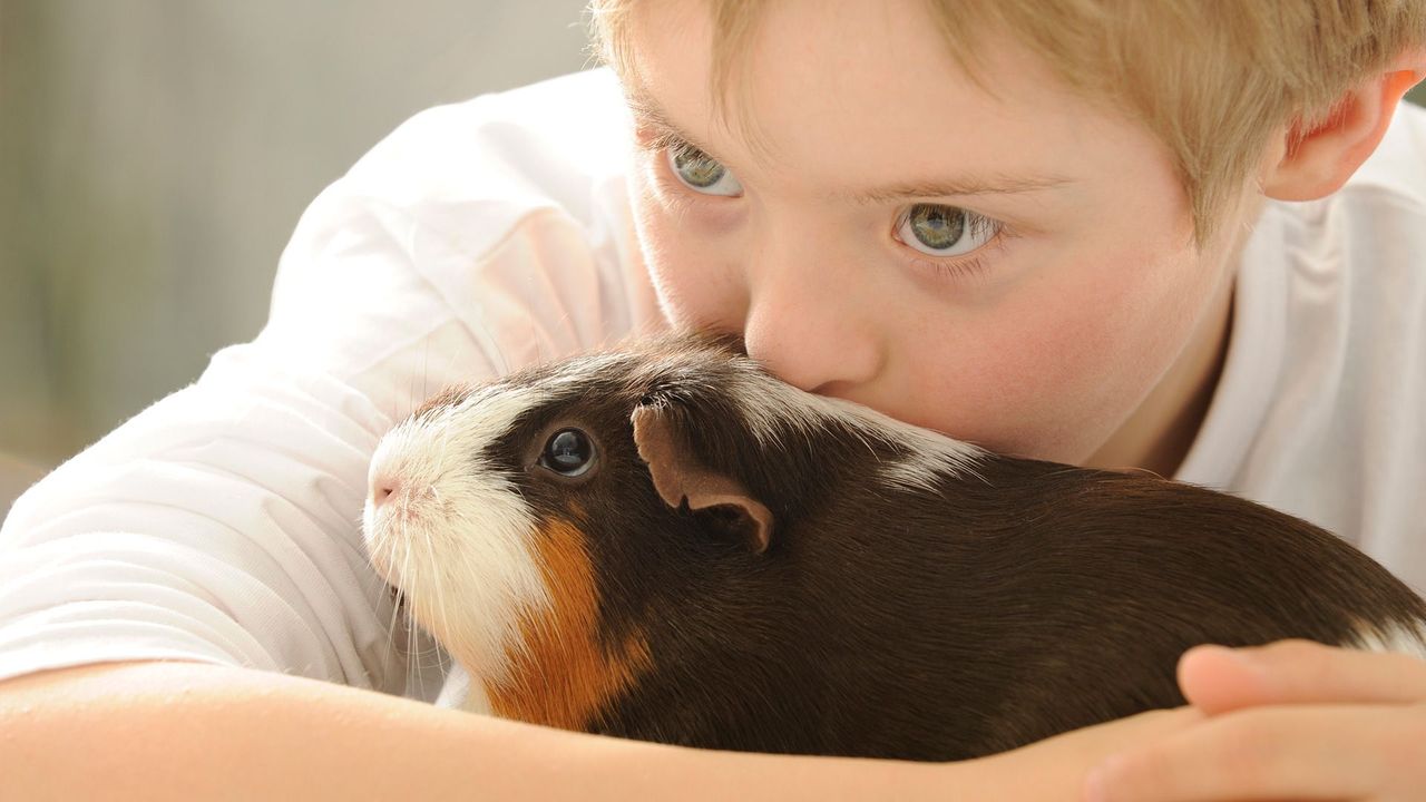 1. Benefits of pets for children