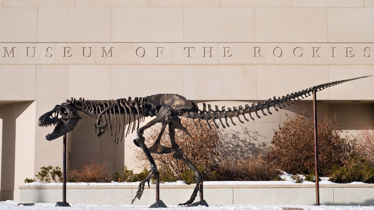 Dominant Dinosaur That Lived Before T. rex Discovered - Field Museum