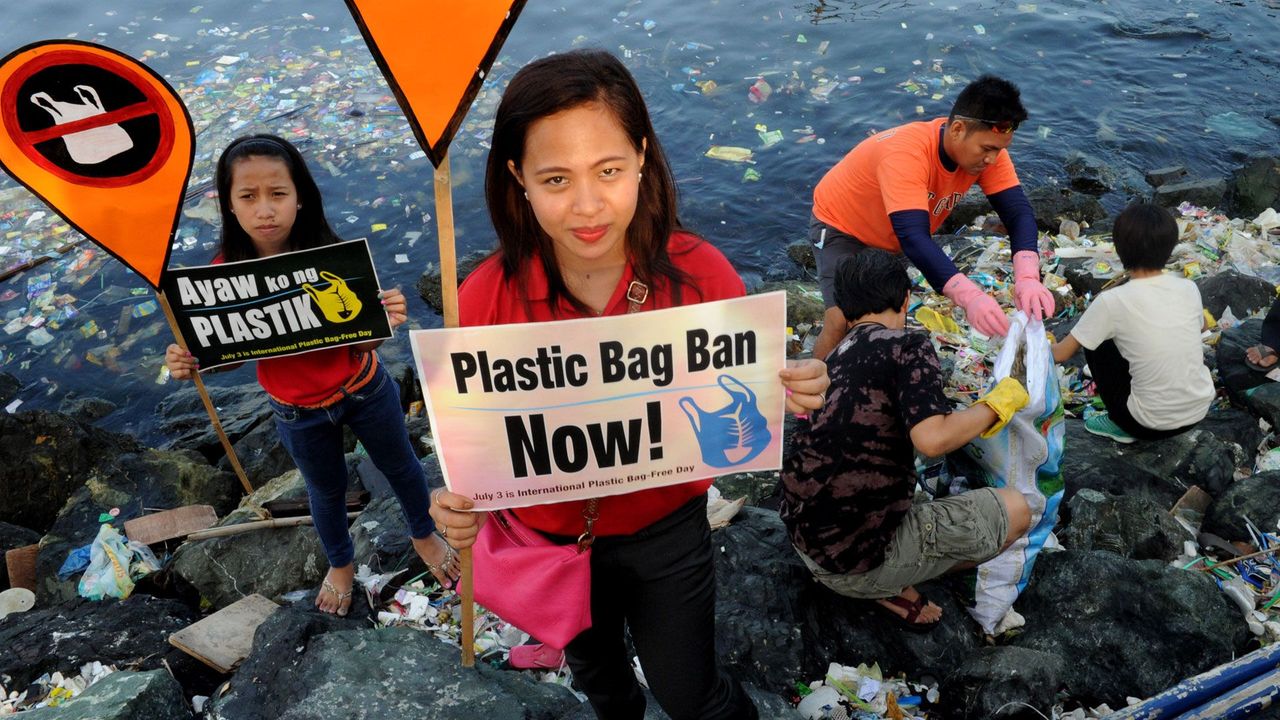 Plastic bag bans have already prevented billions of bags from being used,  report finds