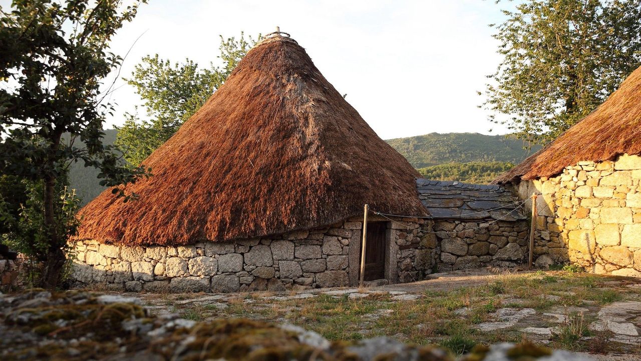 Straw huts keep shelter dogs warm, Local News