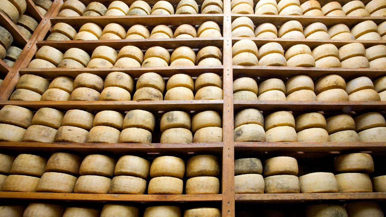 Why Italian cheesemakers buried their pecorino