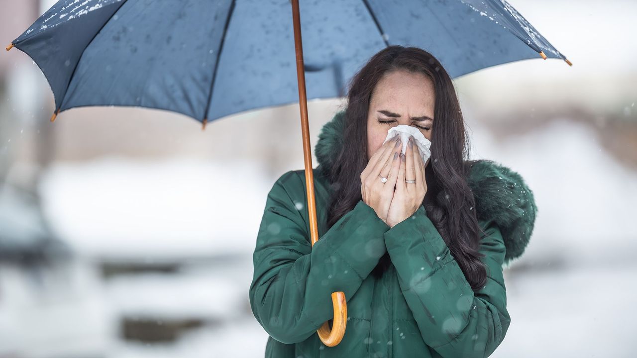 Why cold winter weather makes it harder for the body to fight respiratory  infections
