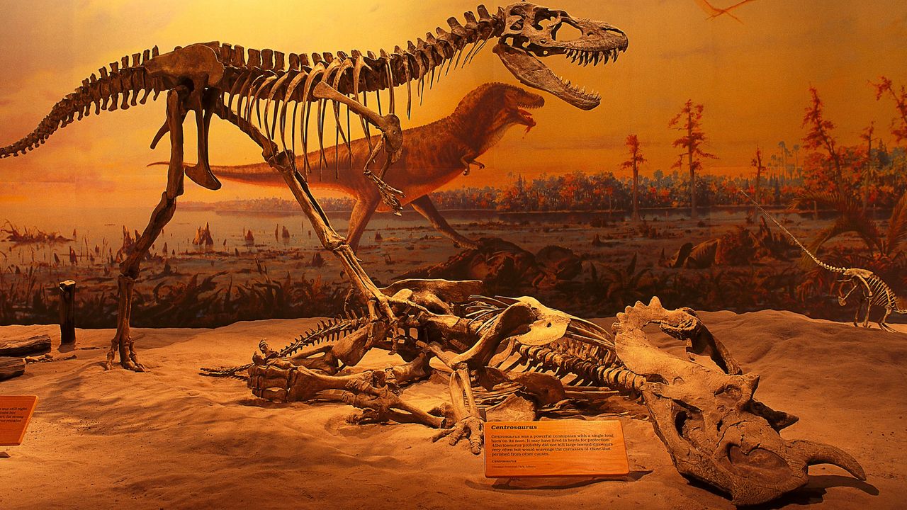 first dinosaur fossil found