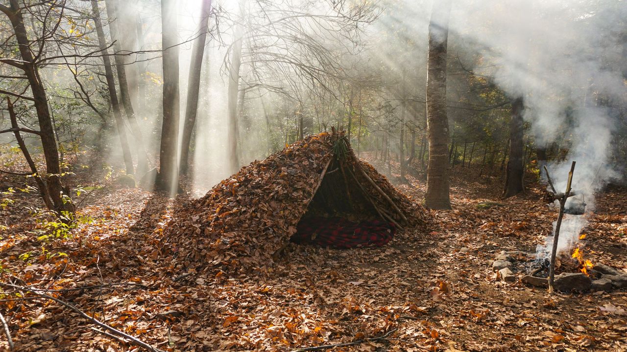 Know The Importance Of Basic Wilderness Survival Gear - Countryside