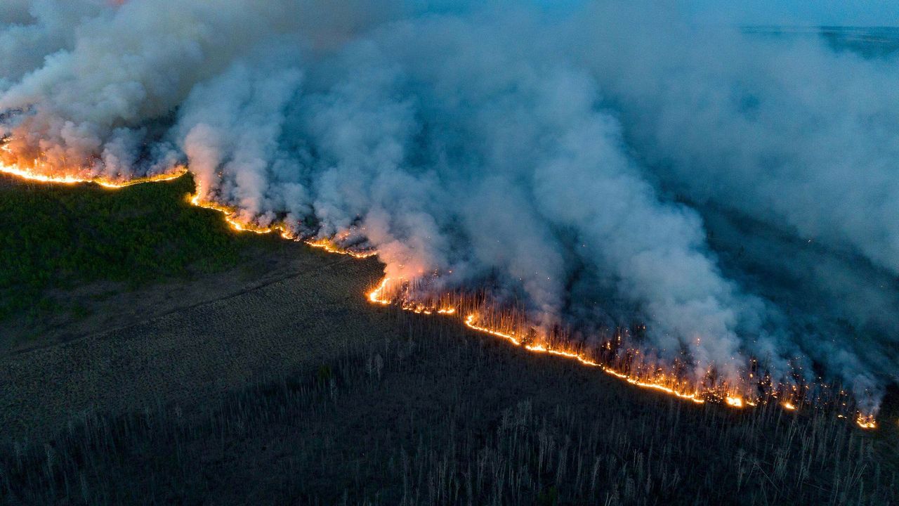 How we covered the wildfires