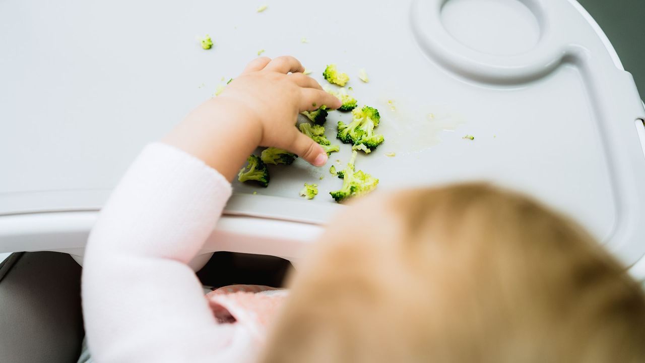 Spoon Feeding vs. Baby Led Weaning - Plant Based Juniors