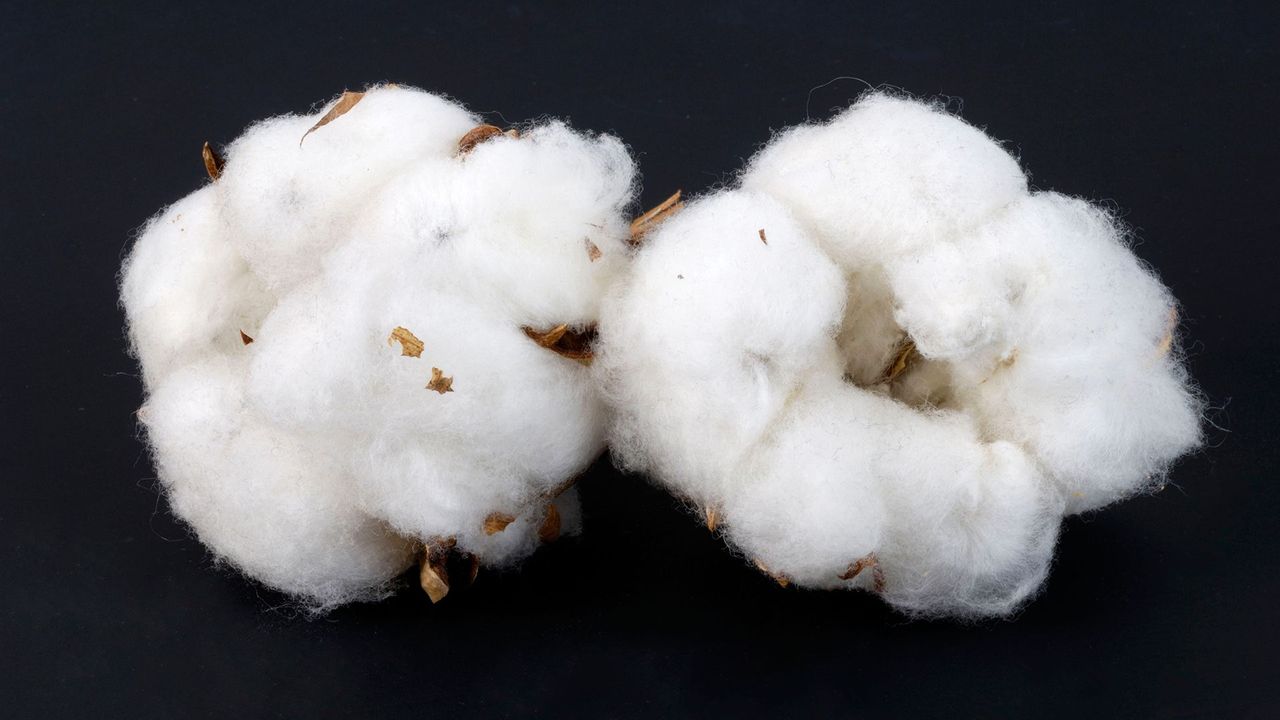 Batteries of the future: How cotton and seawater might power our devices
