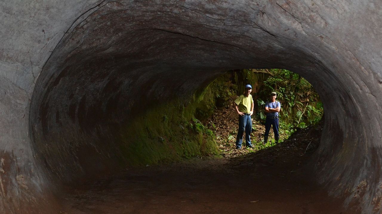 Túnel de Jogo Ludi Selva