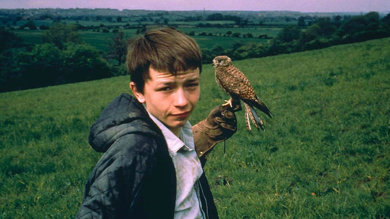 The film is more optimistic than people consider': Why the poignant Kes is  Britain's greatest coming-of-age story