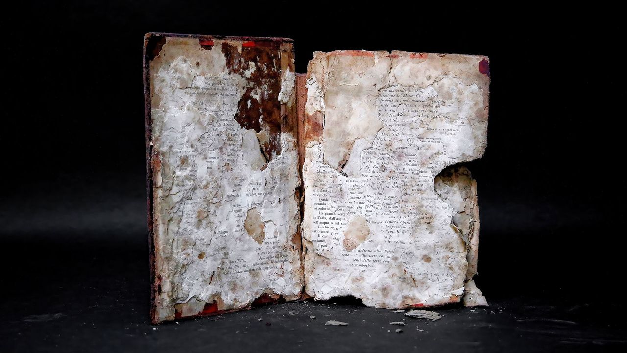 The 100-year-old books salvaged from Venice's floods