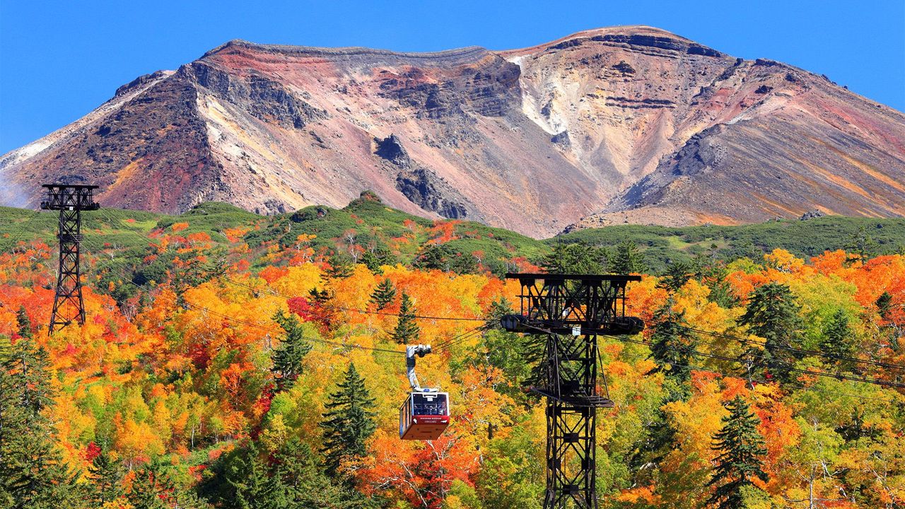 Leaf-peeping around the world: Where to see autumn's best colours