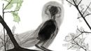 Under x-ray, a barn owl looks the same as a buzzard (credit: Arie van ’t Riet/ SPL) Under x-ray, a barn owl looks the same as a buzzard (credit: Arie van ’t Riet/ SPL)