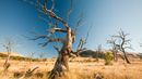 Climate change causes severe drought for some places (Credit: Ashley Cooper/SPL)